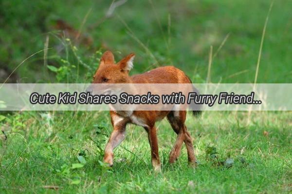 Cute Kid Shares Snacks with Furry Friend A Heartwarming Moment Captured